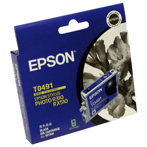 Epson Ink Cartridge T0491Black 100% genuine epson